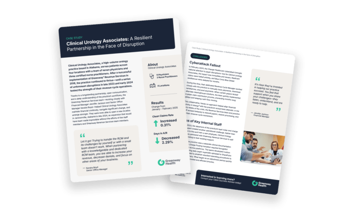 preview image of a case study